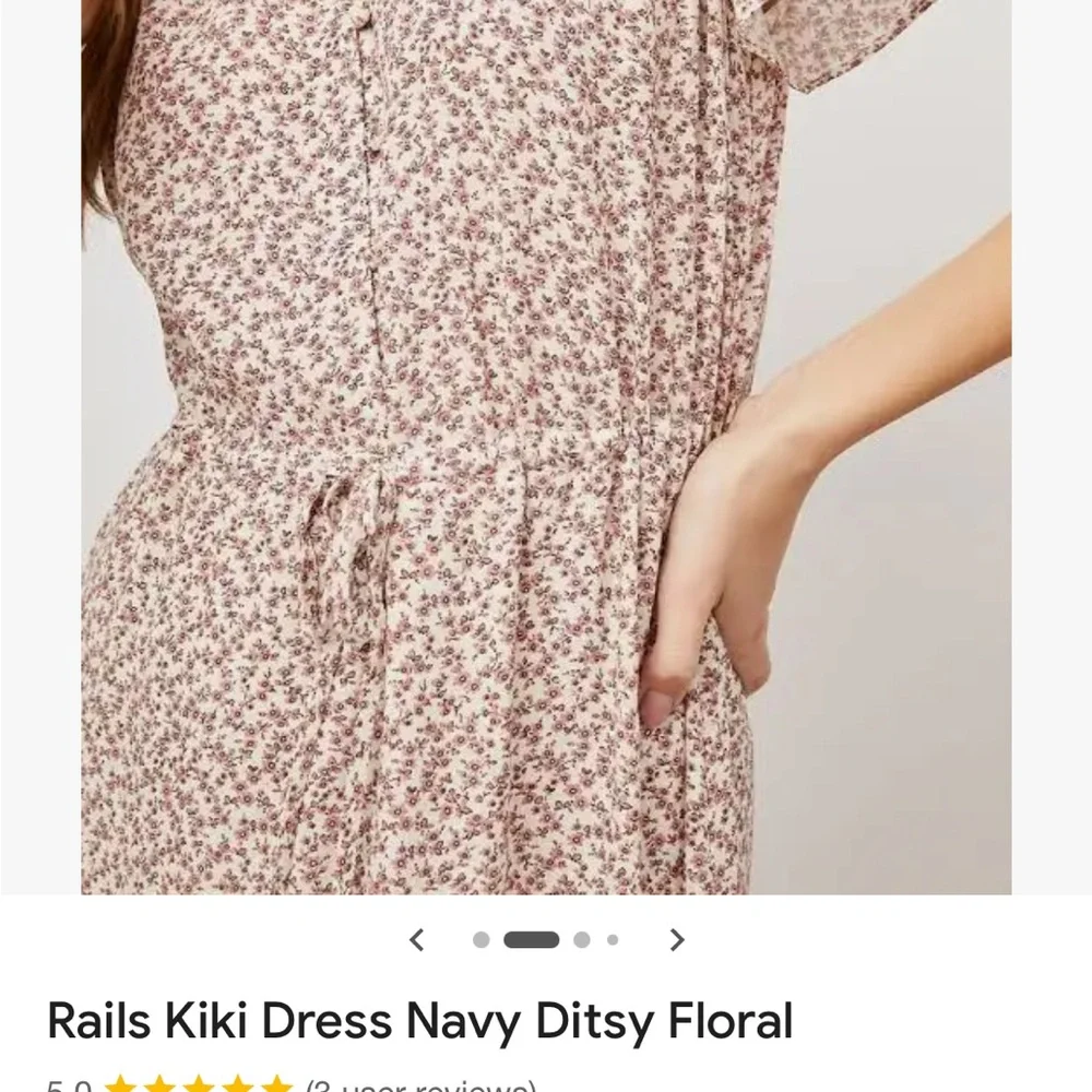 Rails Kiki Garden Party Dress - Picture 4 of 6